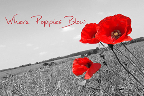 Wher Poppies Blow